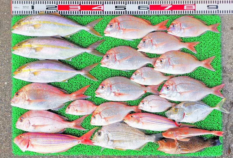 IMG_20251116_152028_edit_2500814759311105