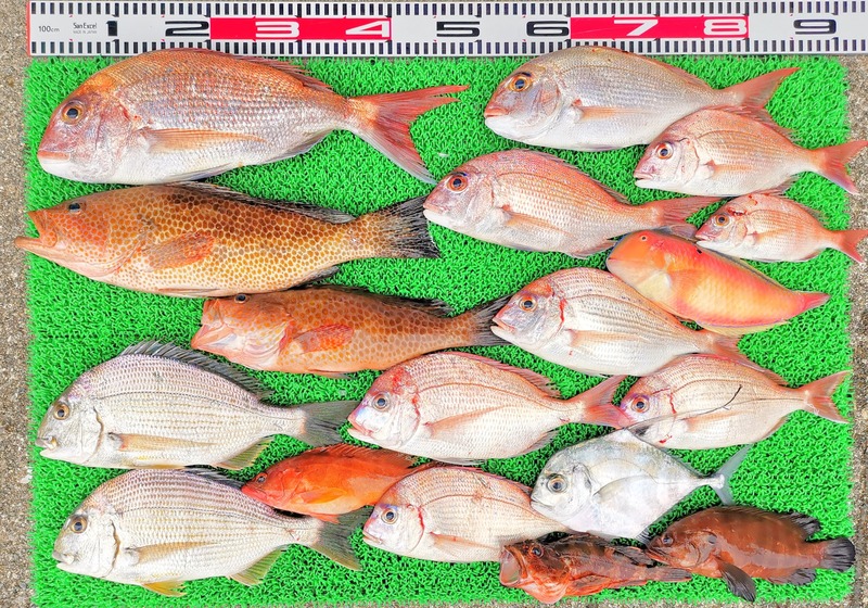 IMG_20251105_142544_edit_2287776843996217