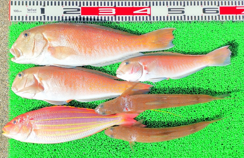 IMG_20241229_125122_edit_573639161200484