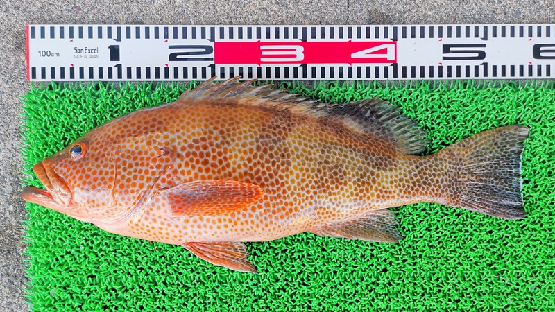 IMG_20211114_153901_edit_1060333143257475