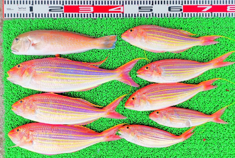 IMG_20230326_141141_edit_25690453511182