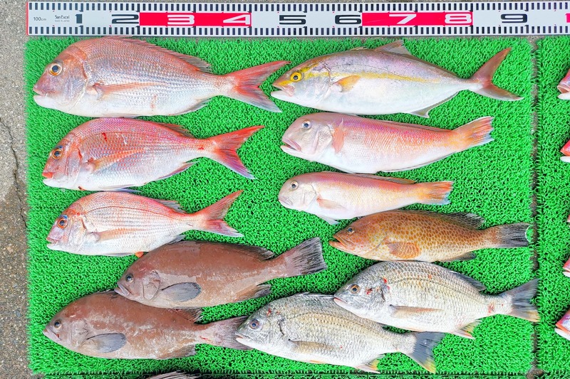 IMG_20251112_151506_edit_2414358516356068