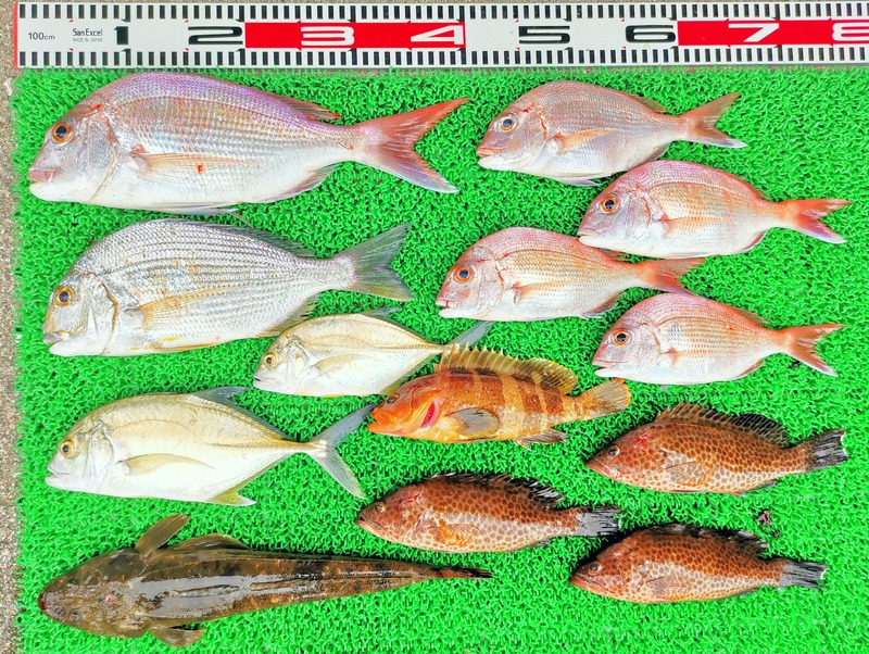 IMG_20251011_130912_edit_1748353574378527