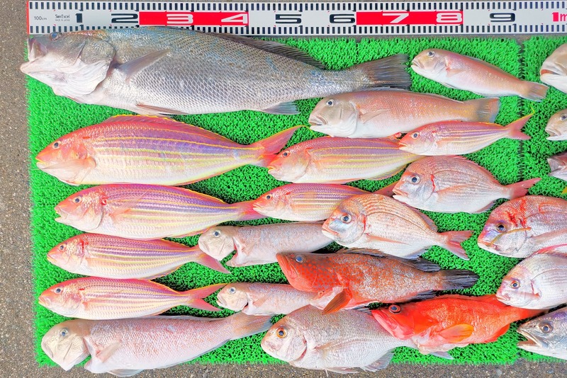 IMG_20251202_155017_edit_2858919647868962