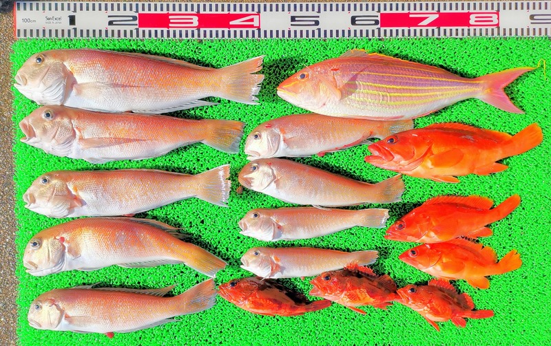 IMG_20250118_144803_edit_169517109878819