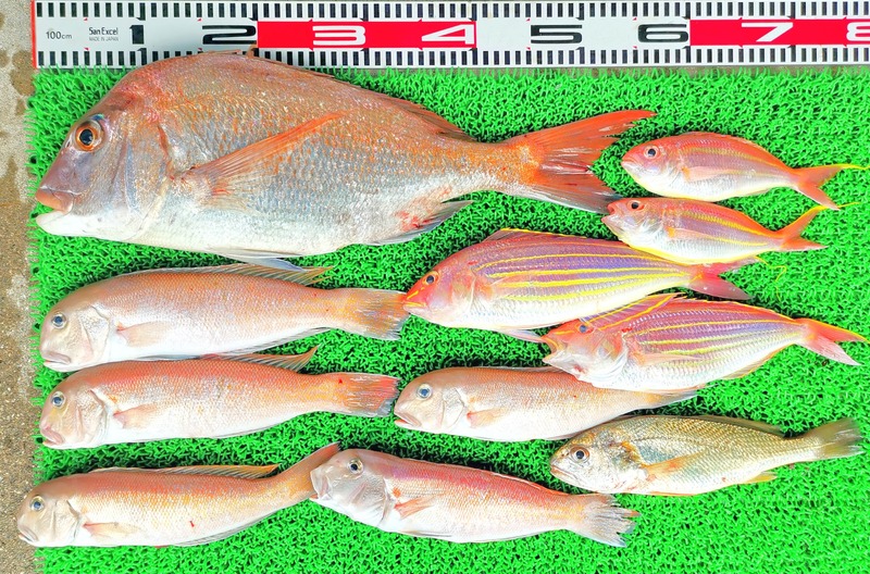 IMG_20220702_130338_edit_349898575822129