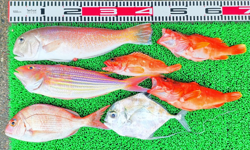 IMG_20251004_150318_edit_1578733715342430