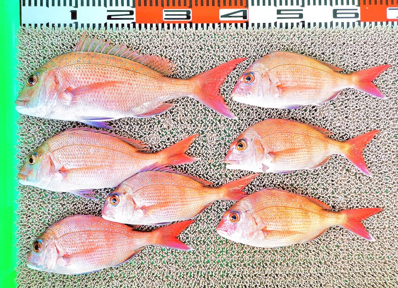 IMG_20200303_212746