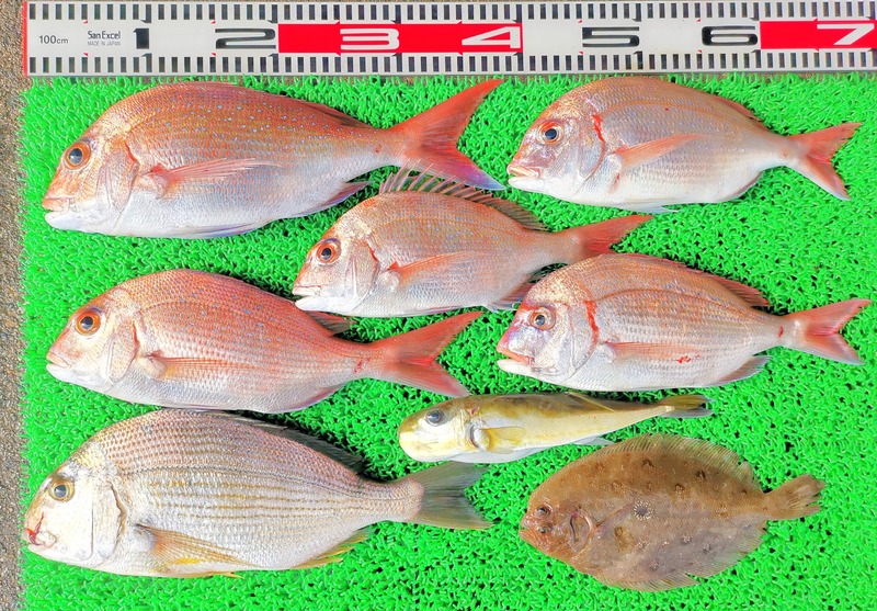 IMG_20251116_141537_edit_2500759416602259