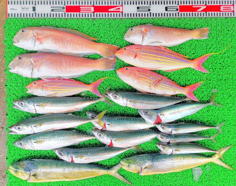 IMG_20220718_115752_edit_739954114629278