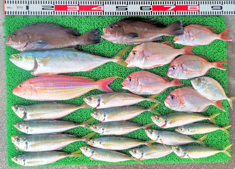 IMG_20251130_152220_edit_2802870248523869