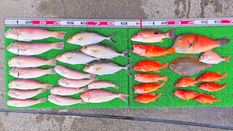 IMG_20250122_164722_edit_246563122334771