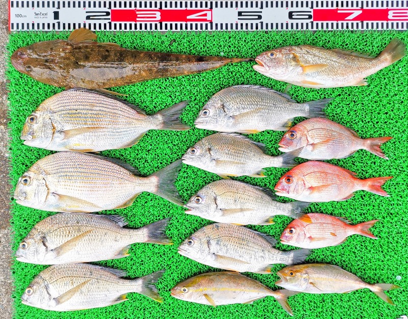 IMG_20220712_155703_edit_591990488728939