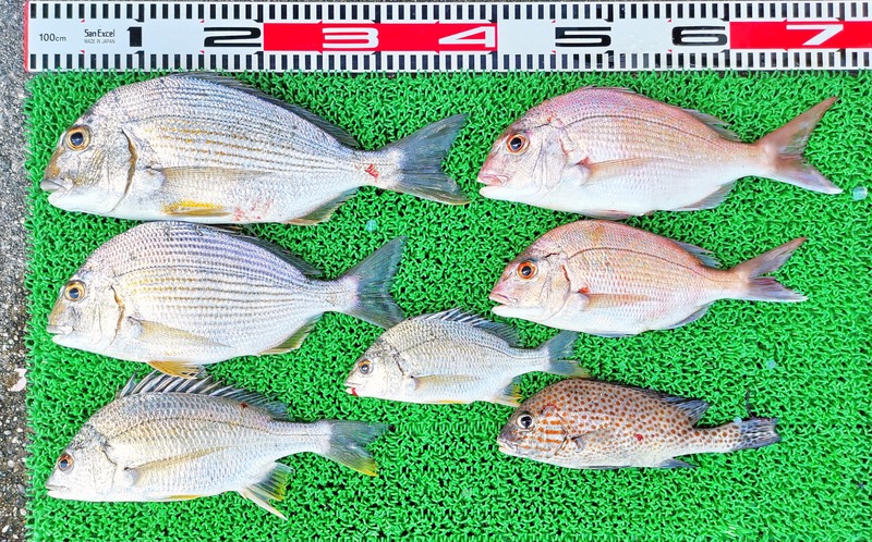 IMG_20250724_155925_edit_4708845159381989