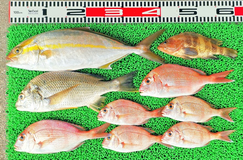 IMG_20251012_141341_edit_1762162983005586