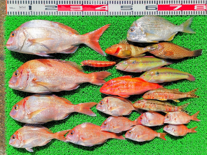 IMG_20211107_125722_edit_963446564558717