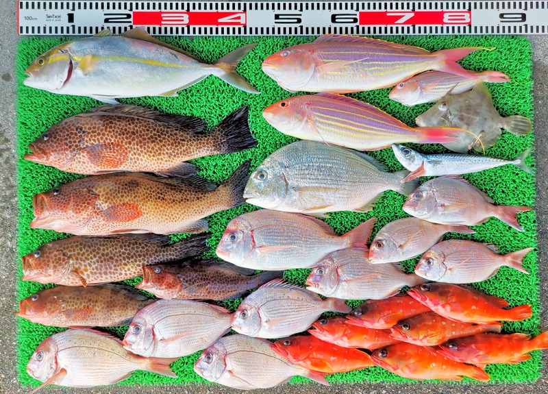 IMG_20251114_153335_edit_2458156955407718