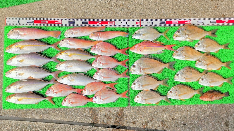 IMG_20241212_134246_edit_273658685448865