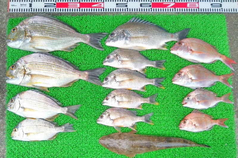 1658915278988_edit_967570501474755