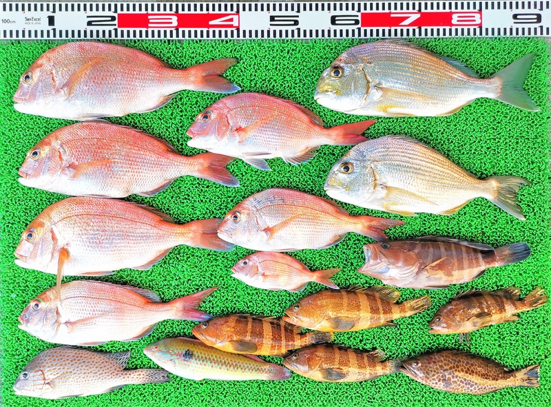 IMG_20240908_133526_edit_143496157942686