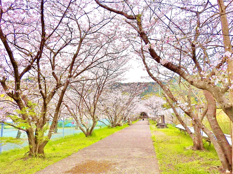 DSCN2239