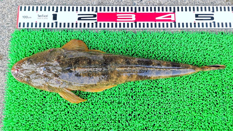 IMG_20260126_161057_edit_128888320546998