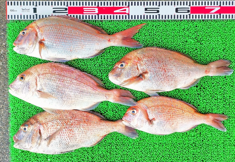 IMG_20240908_141222_edit_143544629720283