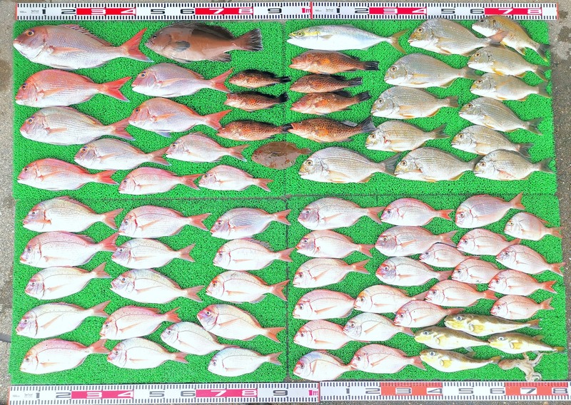 IMG_20251024_141611_edit_2014373039394706