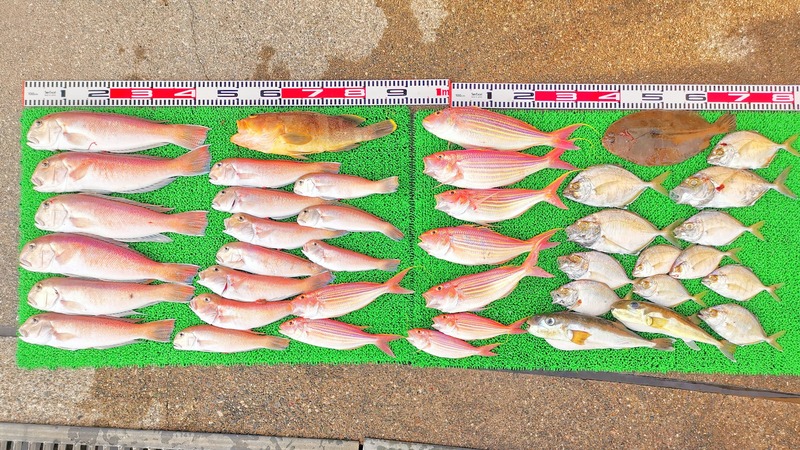 IMG_20241230_152657_edit_602261507040387