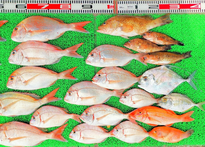 IMG_20251015_122735_edit_1827674506529444