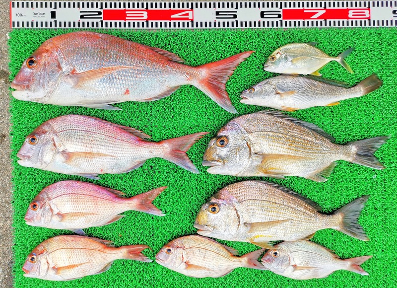 IMG_20251011_125503_edit_1748302140049889