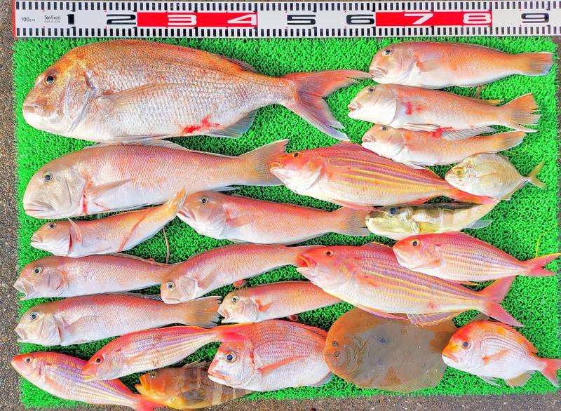 IMG_20241230_151337_edit_602197244598209