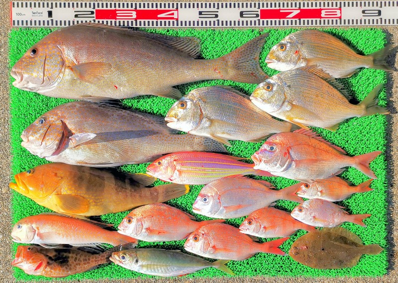 IMG_20251128_141540_edit_2754385476838038