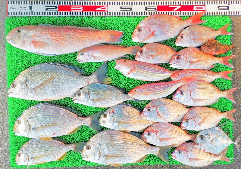 IMG_20251116_131842_edit_2500712162408517