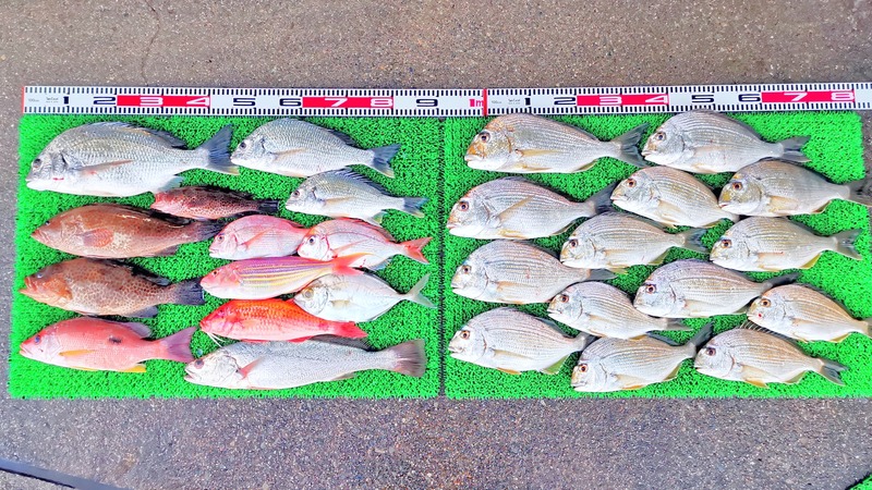 IMG_20251122_165919_edit_2629901873260679