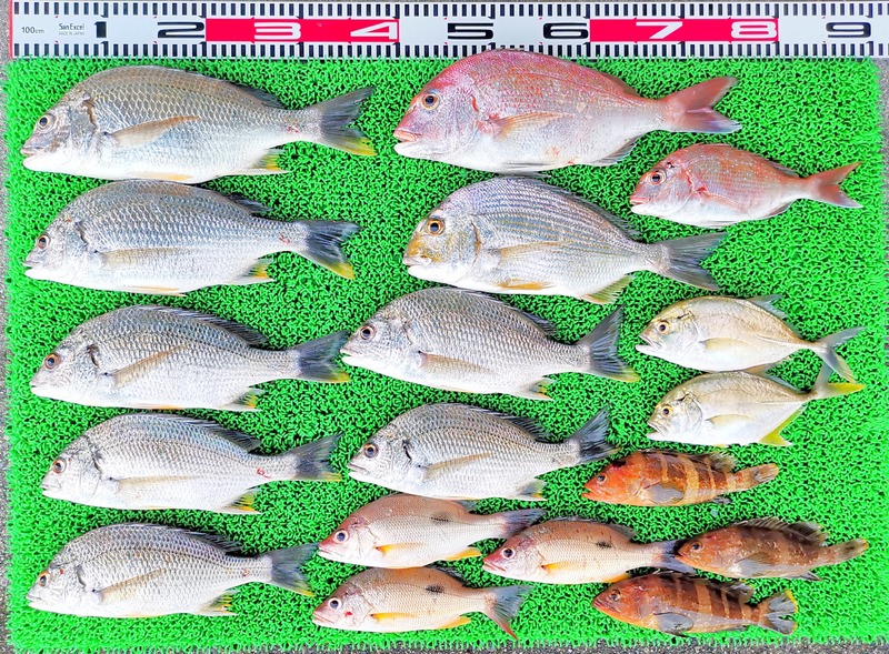 IMG_20240918_175511_edit_307834011003027