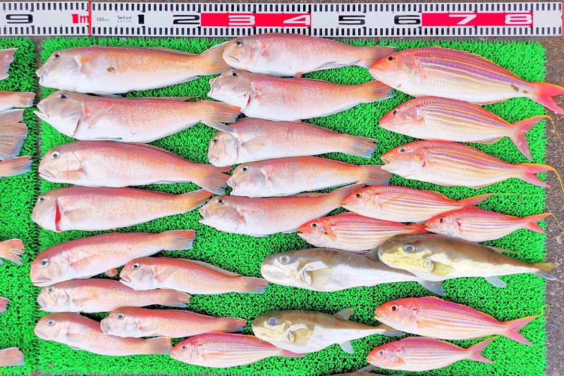 IMG_20241230_165420_edit_603374298591779