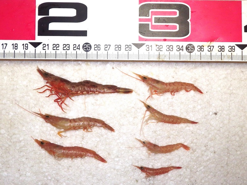 IMGP4827