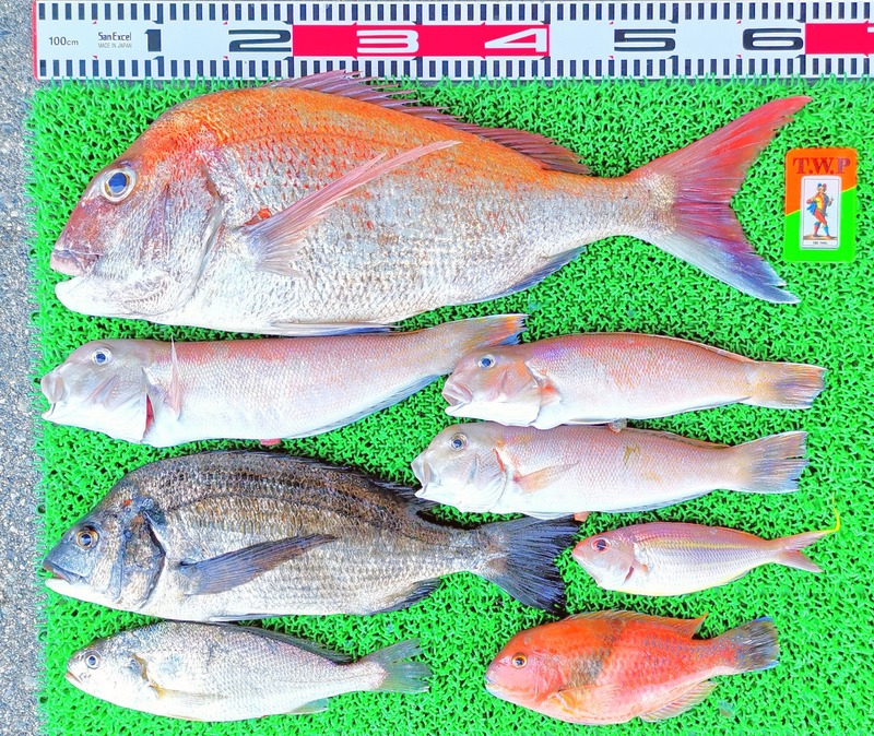 IMG_20220701_141430_edit_326035903295041