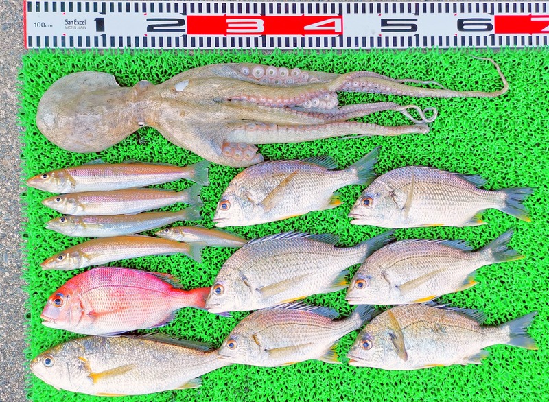 IMG_20220722_135657_edit_846171317032862