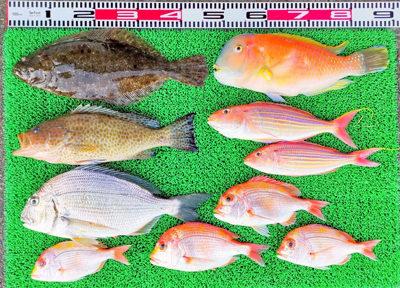 IMG_20260126_163710_edit_128951941541780