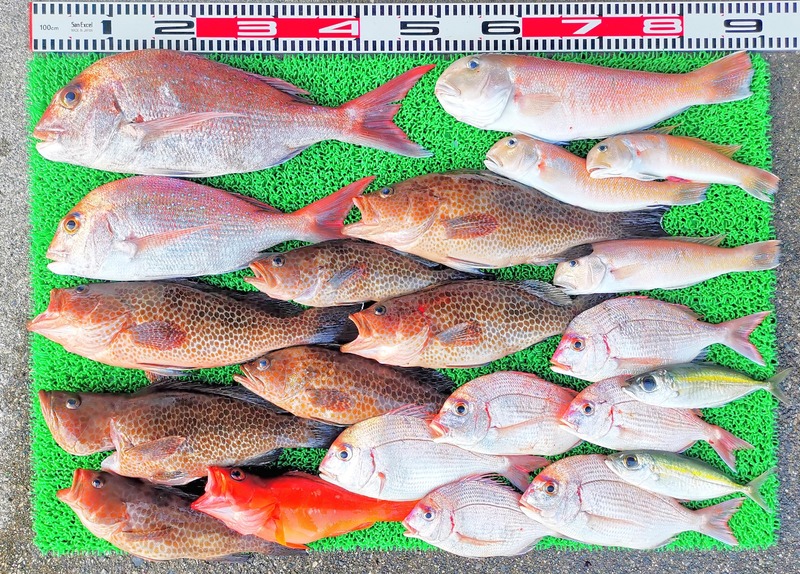 IMG_20251114_162157_edit_2458476386206628