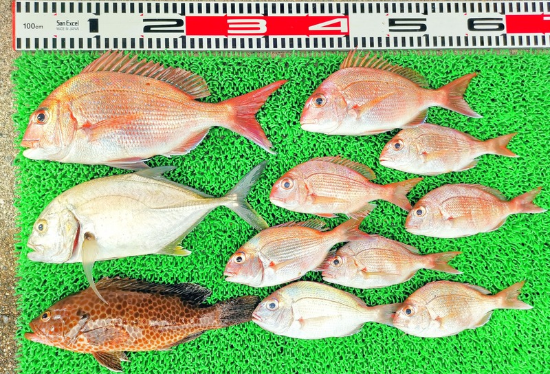 IMG_20251011_143930_edit_1748396364697791