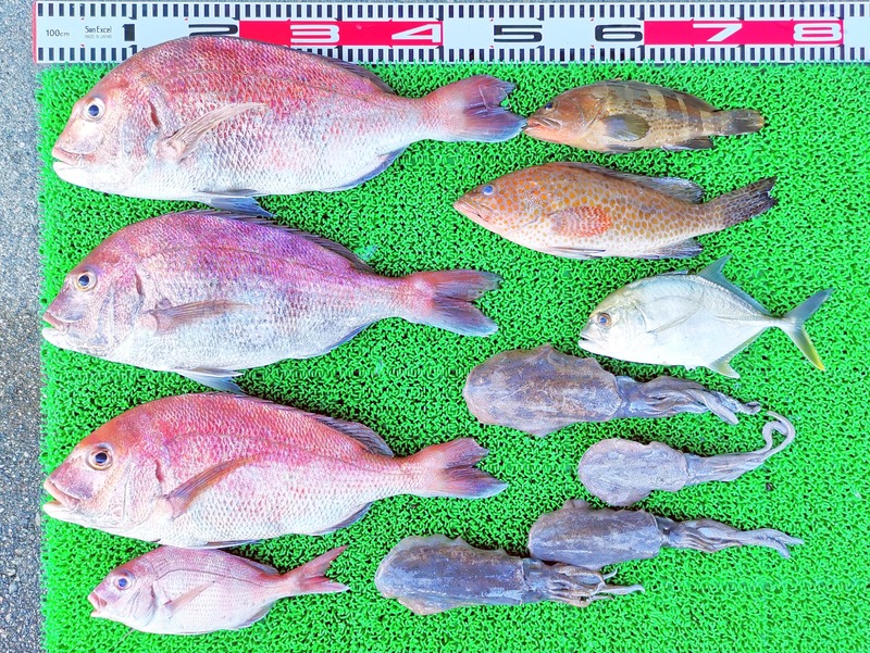 IMG_20240918_154300_edit_307582304570773