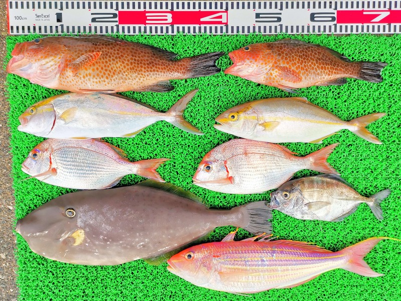 IMG_20230914_123150_edit_489798200837759