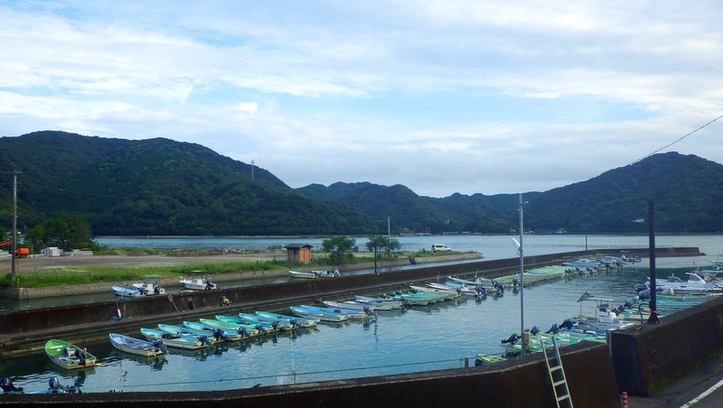 IMGP4481