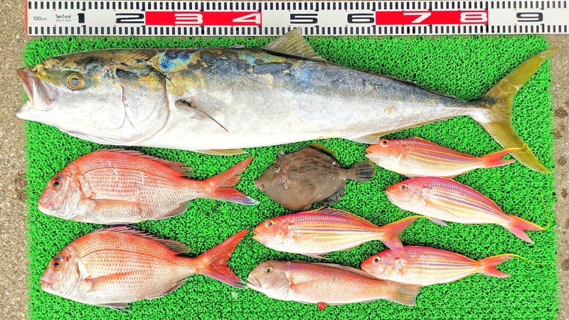 IMG_20220506_131901_edit_418098503662761