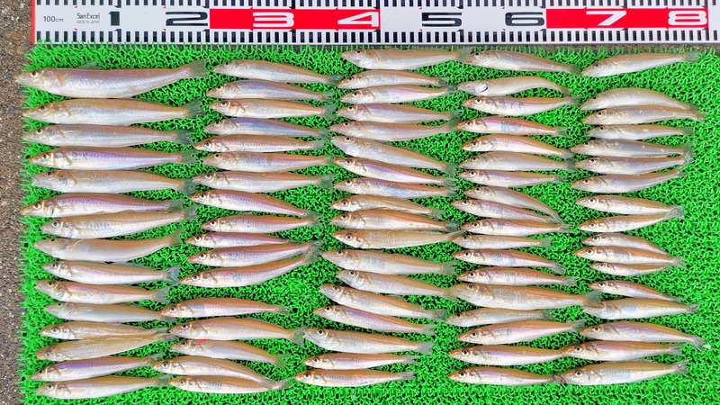 IMG_20210627_160152_edit_705986449231856