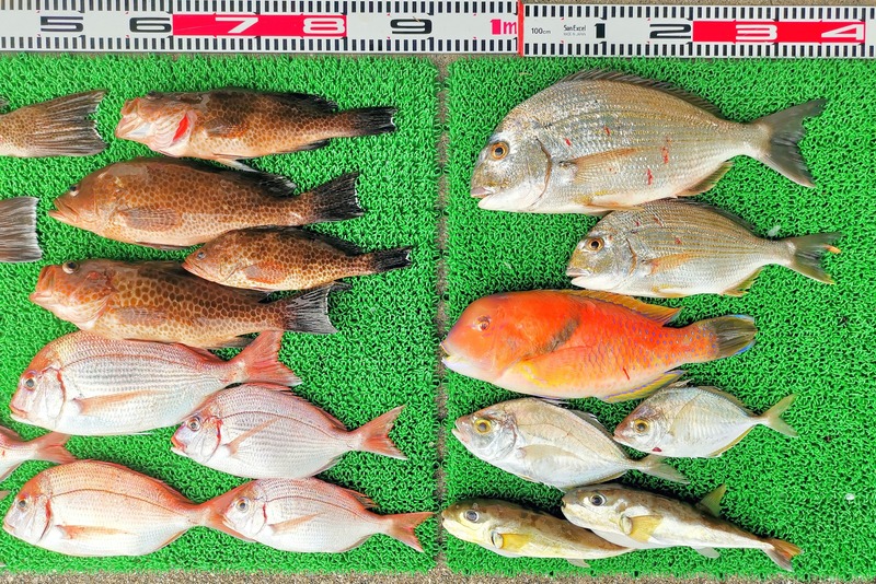 IMG_20251112_131237_edit_2414029752183723