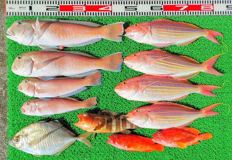 IMG_20250126_134201_edit_323989940863061